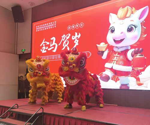 Laatste bedrijfsblogs Shenzhen Hongsinn Precision Co., Ltd. organiseert met succes haar jaarlijkse gala in 2025